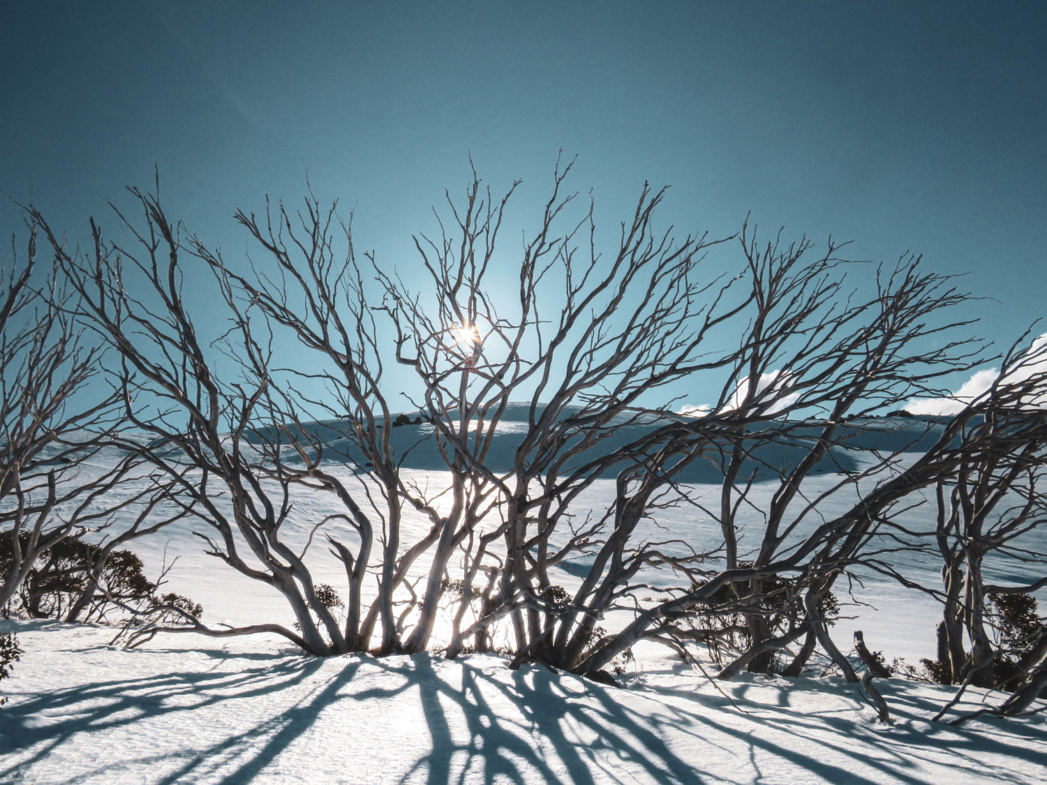 SNOW CAMPING