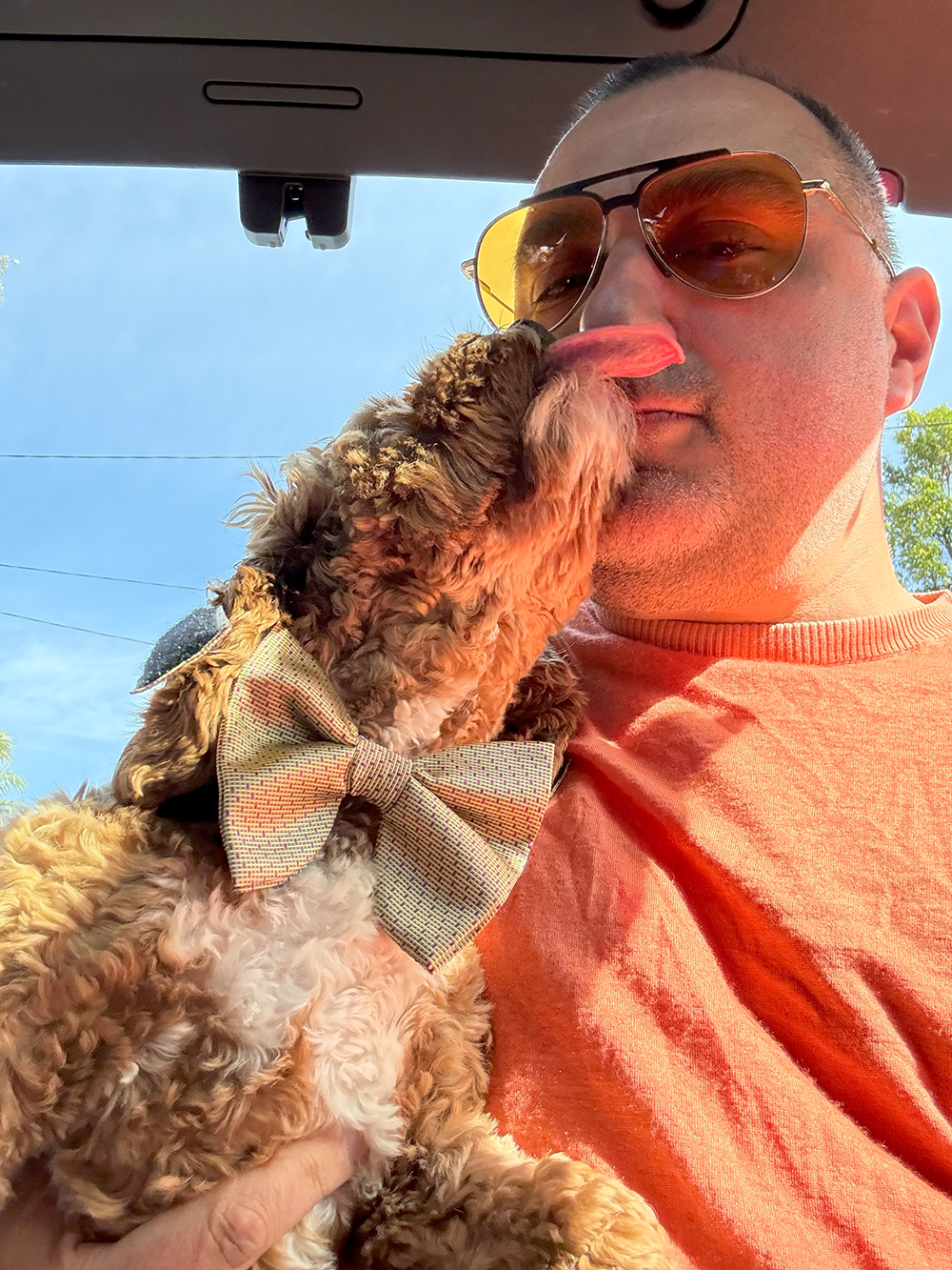 Well, I Finally Did It - A Dog Bow Tie