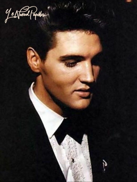 The Elvis Cross Over - Samples Are Now In The Studio