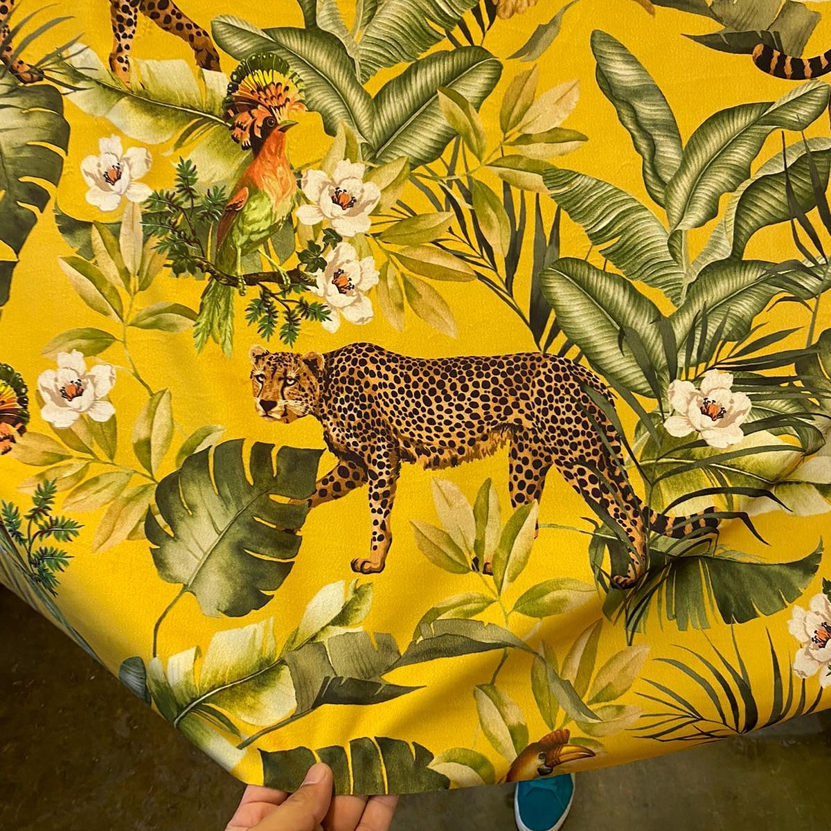New Printed Velvets Coming