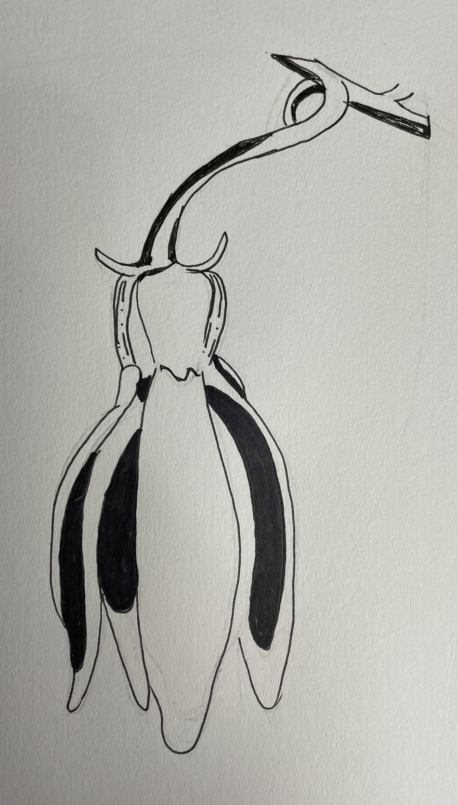 You Didn't Know We Design Our Own Silks?